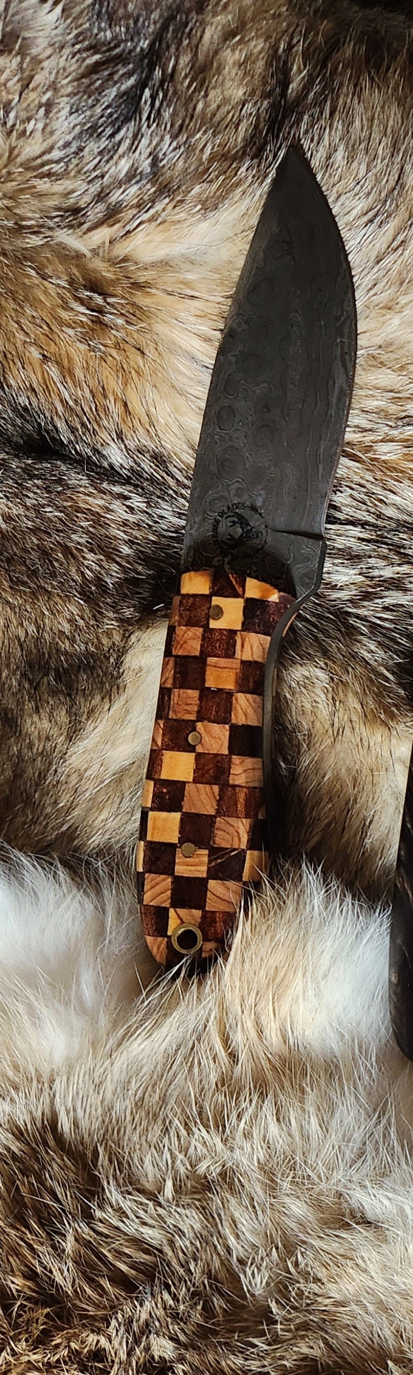 Checkered Fixed Blade