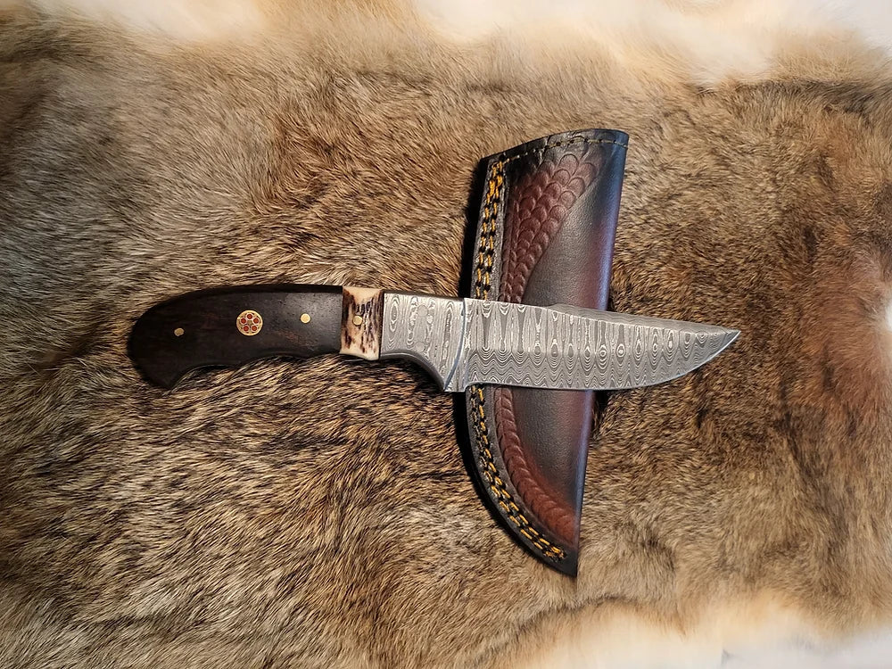 Walnut and Stag Horn Hunting Knife