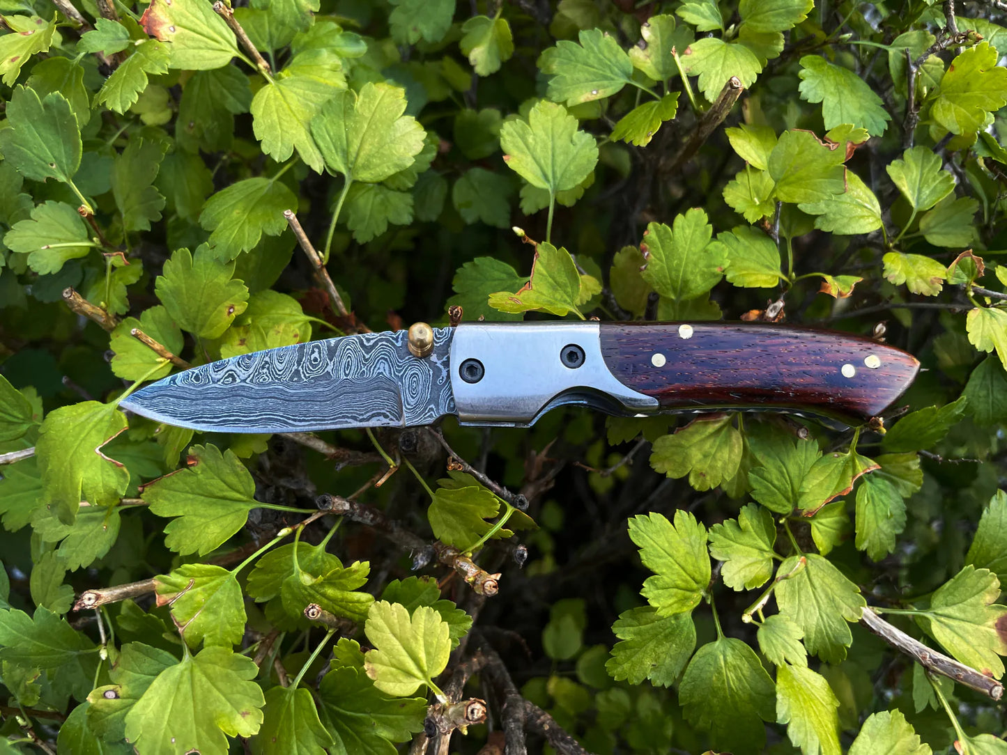 Black and Walnut Folder