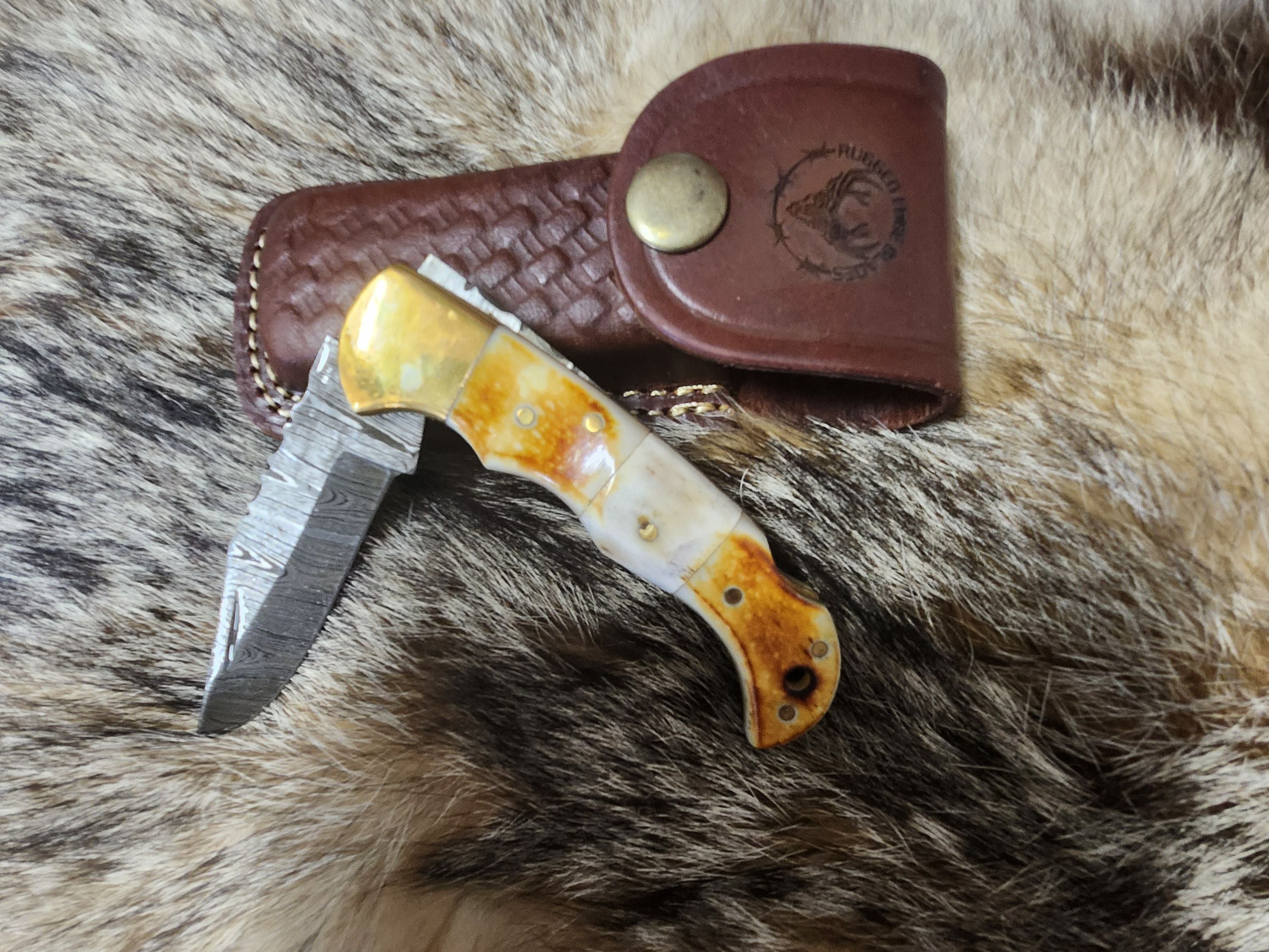 Burnt Bone and Stag Folder knife with Damascus steel blade and polished handle, displayed on fur with leather sheath for collectible display.