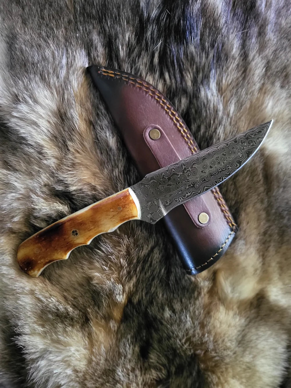 Damascus Burnt Camel Bone Knife