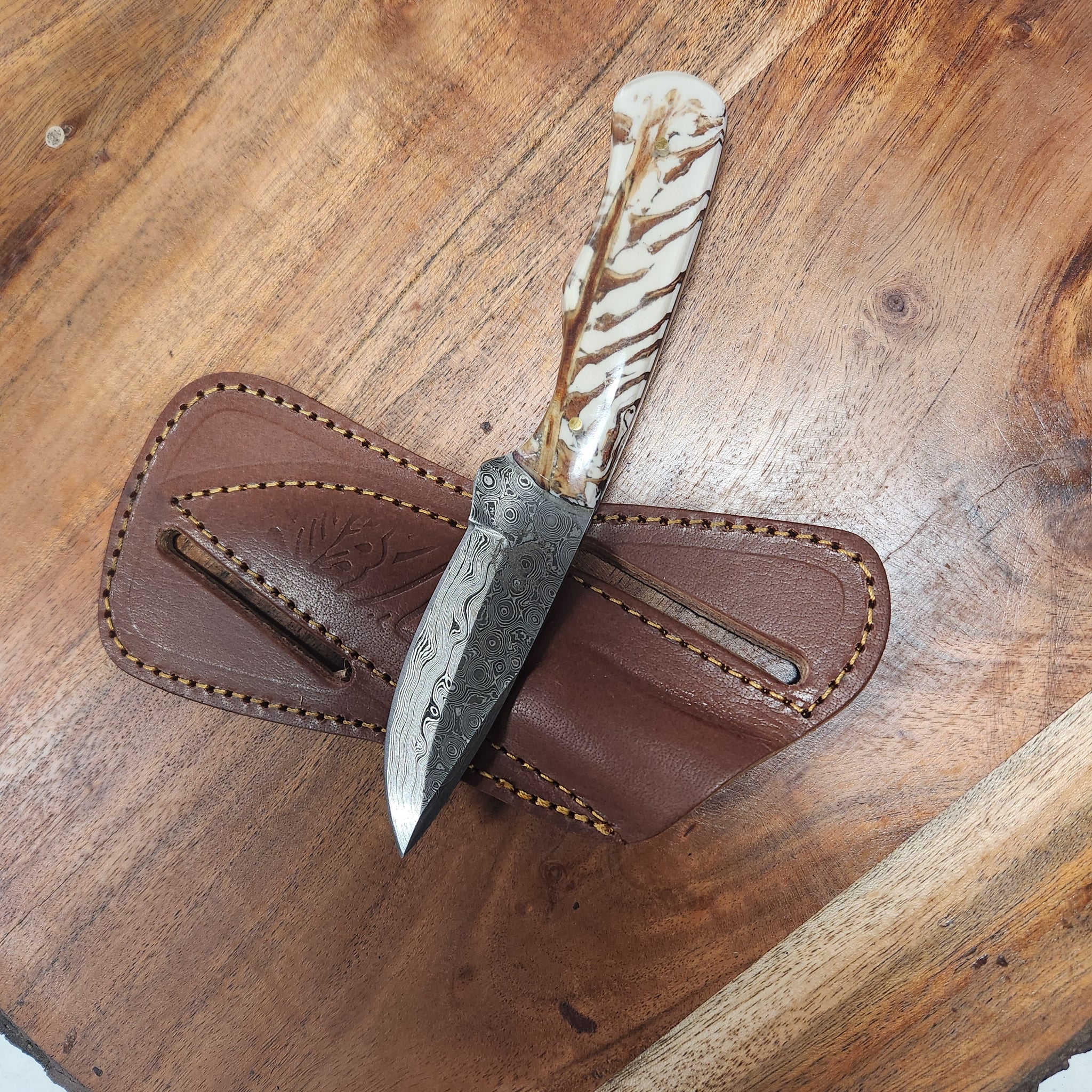 White Pinecone EDC fixed blade knife with patterned Damascus steel blade and resin handle, displayed on a brown leather sheath on wood surface.